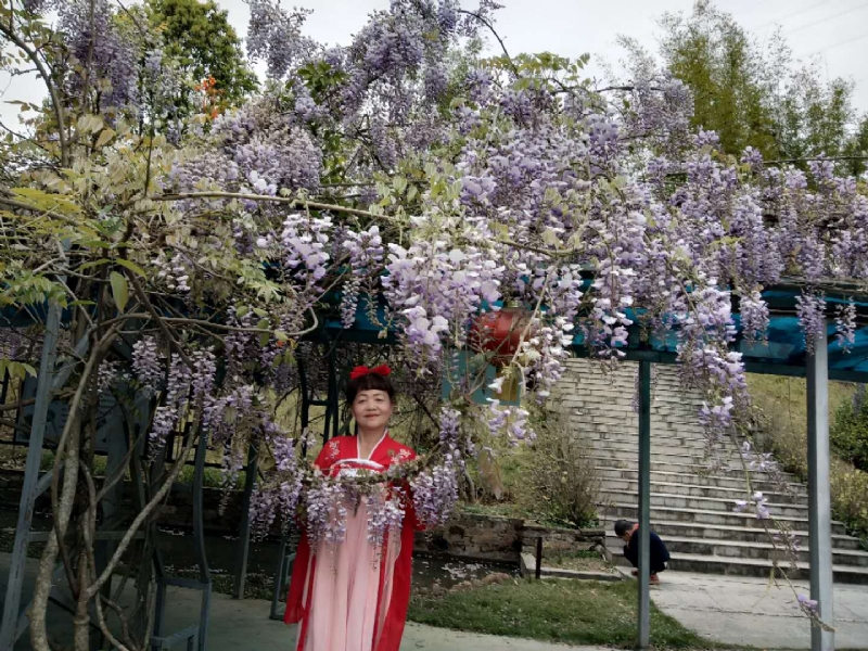 莉莉的第一张照片--漳平征婚网