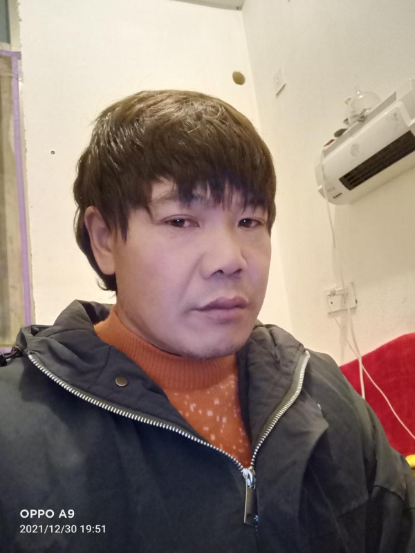 小鸟找窝的第一张照片--漳平征婚网