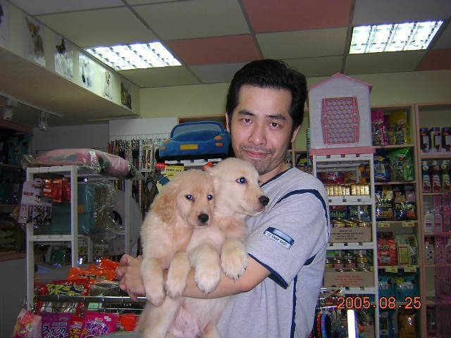 陈道明的第六张照片--漳平征婚网