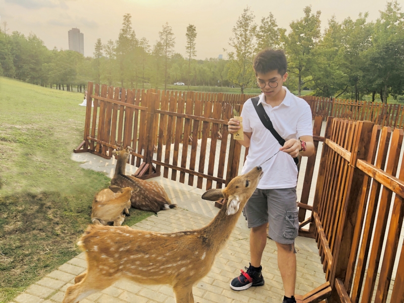 米兰的小铁匠的第一张照片--漳平征婚网