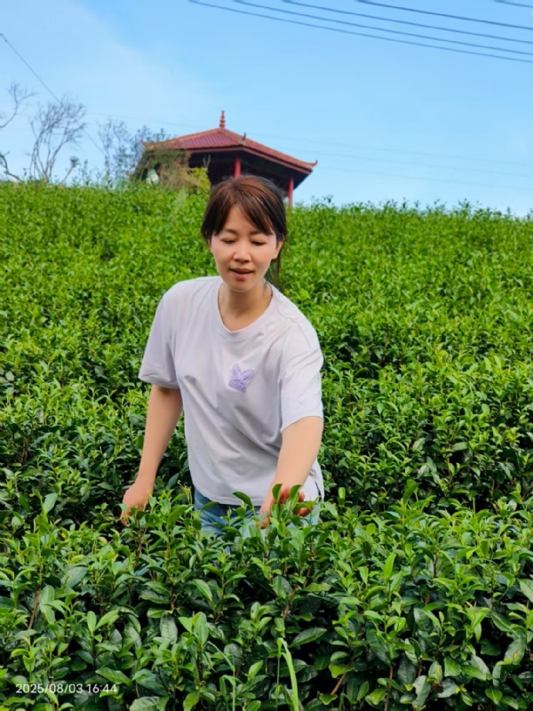 Q绮芳的第一张照片--漳平征婚网